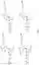 Fig. 02 - POLYMERASE ENZYME FROM PYROCOCCUS ABYSSI