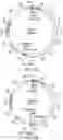Fig. 09 - Engineered CRISPR-Cas9 nucleases with altered PAM specificity