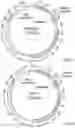 Fig. 13 - Engineered CRISPR-Cas9 nucleases with altered PAM specificity