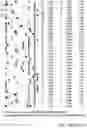 Fig. 41 - Engineered CRISPR-Cas9 nucleases with altered PAM specificity