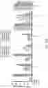 Fig. 48 - Engineered CRISPR-Cas9 nucleases with altered PAM specificity