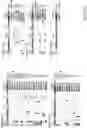 Fig. 55 - Engineered CRISPR-Cas9 nucleases with altered PAM specificity