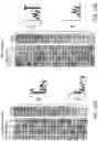 Fig. 69 - Engineered CRISPR-Cas9 nucleases with altered PAM specificity