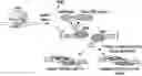 Fig. 01 - Affinity tag for recombination protein recruitment