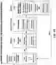 Fig. 12 - Affinity tag for recombination protein recruitment