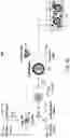 Fig. 15 - Affinity tag for recombination protein recruitment
