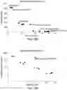 Fig. 22 - Affinity tag for recombination protein recruitment