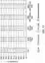 Fig. 27 - Affinity tag for recombination protein recruitment