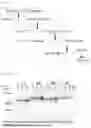 Fig. 02 - NOVEL RECOMBINANT FACTOR C AND METHOD FOR PRODUCING THE SAME, AND METHOD FOR MEASURING ENDOTOXIN