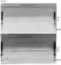 Fig. 05 - Purification Process for Biological Molecules Such as Plasmid DNA Using Anionic Exchange Chromatography