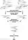 Fig. 01 - Compartment-Free Single Cell Genetic Analysis