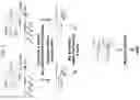 Fig. 02 - Compartment-Free Single Cell Genetic Analysis