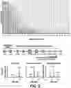 Fig. 03 - BARCODED CLONAL TRACKING OF GENE TARGETING IN CELLS