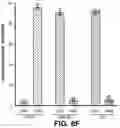Fig. 17 - BARCODED CLONAL TRACKING OF GENE TARGETING IN CELLS