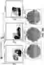 Fig. 24 - BARCODED CLONAL TRACKING OF GENE TARGETING IN CELLS