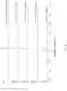 Fig. 16 - Methods of synthesizing oligonucleotides using tethered nucleotides