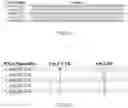 Fig. 03 - Substrate Sequences for the RNAi-Mediated Regulation of Genomic and Sub-genomic Viral RNAs