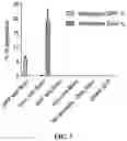Fig. 09 - SYSTEMS, METHODS, AND COMPOSITIONS FOR SITE-SPECIFIC GENETIC ENGINEERING USING PROGRAMMABLE ADDITION VIA SITE-SPECIFIC TARGETING ELEMENTS (PASTE)