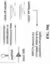 Fig. 104 - SYSTEMS, METHODS, AND COMPOSITIONS FOR SITE-SPECIFIC GENETIC ENGINEERING USING PROGRAMMABLE ADDITION VIA SITE-SPECIFIC TARGETING ELEMENTS (PASTE)