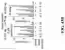 Fig. 131 - SYSTEMS, METHODS, AND COMPOSITIONS FOR SITE-SPECIFIC GENETIC ENGINEERING USING PROGRAMMABLE ADDITION VIA SITE-SPECIFIC TARGETING ELEMENTS (PASTE)