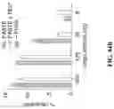 Fig. 134 - SYSTEMS, METHODS, AND COMPOSITIONS FOR SITE-SPECIFIC GENETIC ENGINEERING USING PROGRAMMABLE ADDITION VIA SITE-SPECIFIC TARGETING ELEMENTS (PASTE)