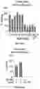 Fig. 139 - SYSTEMS, METHODS, AND COMPOSITIONS FOR SITE-SPECIFIC GENETIC ENGINEERING USING PROGRAMMABLE ADDITION VIA SITE-SPECIFIC TARGETING ELEMENTS (PASTE)