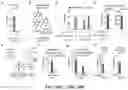 Fig. 143 - SYSTEMS, METHODS, AND COMPOSITIONS FOR SITE-SPECIFIC GENETIC ENGINEERING USING PROGRAMMABLE ADDITION VIA SITE-SPECIFIC TARGETING ELEMENTS (PASTE)