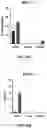 Fig. 15 - SYSTEMS, METHODS, AND COMPOSITIONS FOR SITE-SPECIFIC GENETIC ENGINEERING USING PROGRAMMABLE ADDITION VIA SITE-SPECIFIC TARGETING ELEMENTS (PASTE)