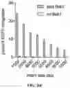 Fig. 47 - SYSTEMS, METHODS, AND COMPOSITIONS FOR SITE-SPECIFIC GENETIC ENGINEERING USING PROGRAMMABLE ADDITION VIA SITE-SPECIFIC TARGETING ELEMENTS (PASTE)