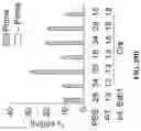 Fig. 61 - SYSTEMS, METHODS, AND COMPOSITIONS FOR SITE-SPECIFIC GENETIC ENGINEERING USING PROGRAMMABLE ADDITION VIA SITE-SPECIFIC TARGETING ELEMENTS (PASTE)
