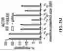 Fig. 67 - SYSTEMS, METHODS, AND COMPOSITIONS FOR SITE-SPECIFIC GENETIC ENGINEERING USING PROGRAMMABLE ADDITION VIA SITE-SPECIFIC TARGETING ELEMENTS (PASTE)