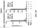 Fig. 82 - SYSTEMS, METHODS, AND COMPOSITIONS FOR SITE-SPECIFIC GENETIC ENGINEERING USING PROGRAMMABLE ADDITION VIA SITE-SPECIFIC TARGETING ELEMENTS (PASTE)