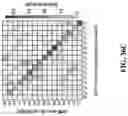 Fig. 95 - SYSTEMS, METHODS, AND COMPOSITIONS FOR SITE-SPECIFIC GENETIC ENGINEERING USING PROGRAMMABLE ADDITION VIA SITE-SPECIFIC TARGETING ELEMENTS (PASTE)