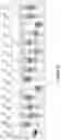 Fig. 29 - ENZYMATIC RNA SYNTHESIS