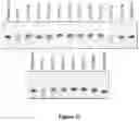 Fig. 30 - ENZYMATIC RNA SYNTHESIS