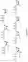 Fig. 36 - ENZYMATIC RNA SYNTHESIS