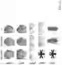 Fig. 04 - RNA-TARGETING CAS ENZYMES
