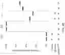 Fig. 16 - RNA-TARGETING CAS ENZYMES