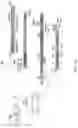 Fig. 27 - RNA-TARGETING CAS ENZYMES