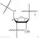 Fig. 18 - OLIGONUCLEOTIDE COMPOSITIONS AND METHODS OF USE THEREOF