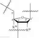 Fig. 22 - OLIGONUCLEOTIDE COMPOSITIONS AND METHODS OF USE THEREOF