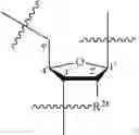 Fig. 23 - OLIGONUCLEOTIDE COMPOSITIONS AND METHODS OF USE THEREOF