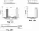 Fig. 13 - CAS12a GUIDE RNA MOLECULES AND USES THEREOF