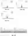 Fig. 14 - CAS12a GUIDE RNA MOLECULES AND USES THEREOF