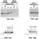 Fig. 15 - CAS12a GUIDE RNA MOLECULES AND USES THEREOF
