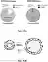 Fig. 17 - CAS12a GUIDE RNA MOLECULES AND USES THEREOF