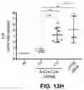 Fig. 19 - CAS12a GUIDE RNA MOLECULES AND USES THEREOF