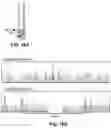Fig. 23 - CAS12a GUIDE RNA MOLECULES AND USES THEREOF