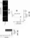 Fig. 25 - CAS12a GUIDE RNA MOLECULES AND USES THEREOF