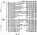 Fig. 26 - CAS12a GUIDE RNA MOLECULES AND USES THEREOF